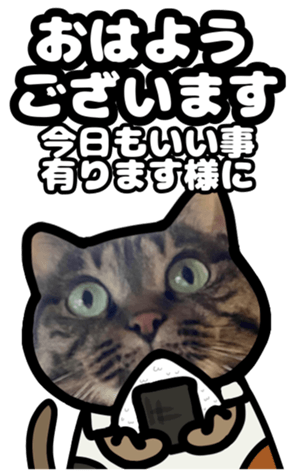 591279863