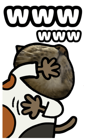 591279866