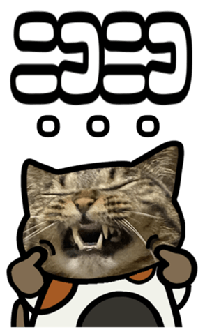 591279867