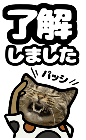 591279870