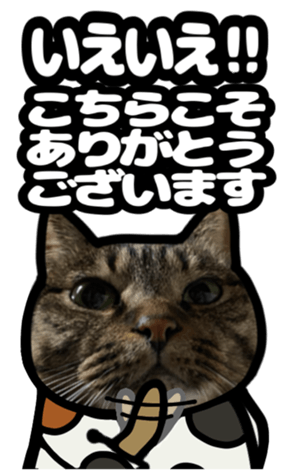 591279872