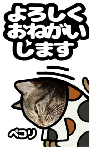 591279873