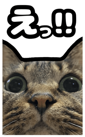 591279876