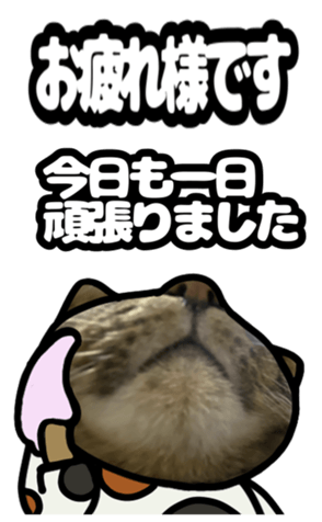 591279883
