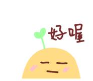 591290406