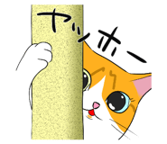 591296822