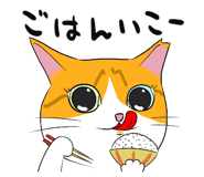 591296823