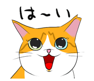 591296824