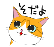 591296827