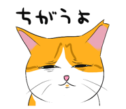 591296829