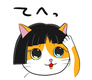 591296833
