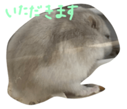 591327109