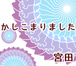 59132916