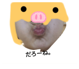 591341462