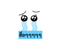 591343538