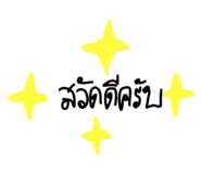 591344013