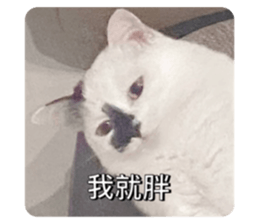 591362000
