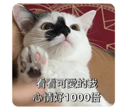 591362017
