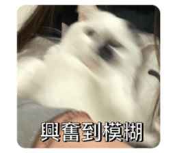 591362019