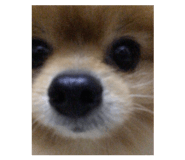591367692