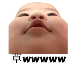 591384792