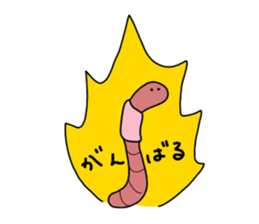 591416573