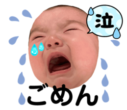 591438444