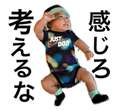 591454261