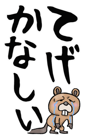 591468049