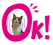 591468184
