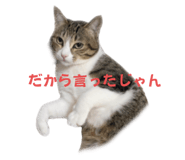 591468187