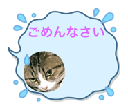 591473403