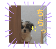 591476124