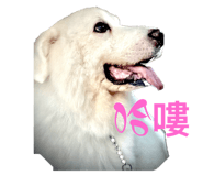 591476871