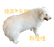 591476886