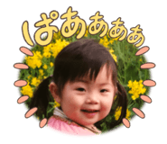 591478286