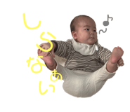 591489823