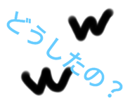 591547829