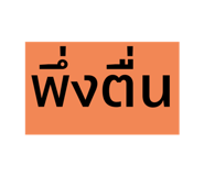 591572036