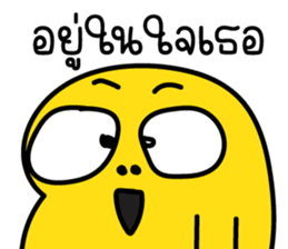 591572364
