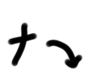 591574476