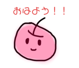 591594806