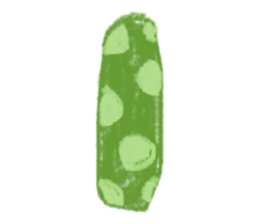 591607569