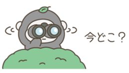 591612530