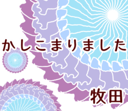 59162020