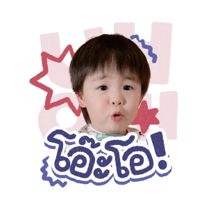 ลายที่ 29