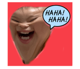 591628443