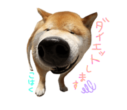 591630835