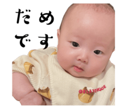 591633411