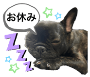 591675154